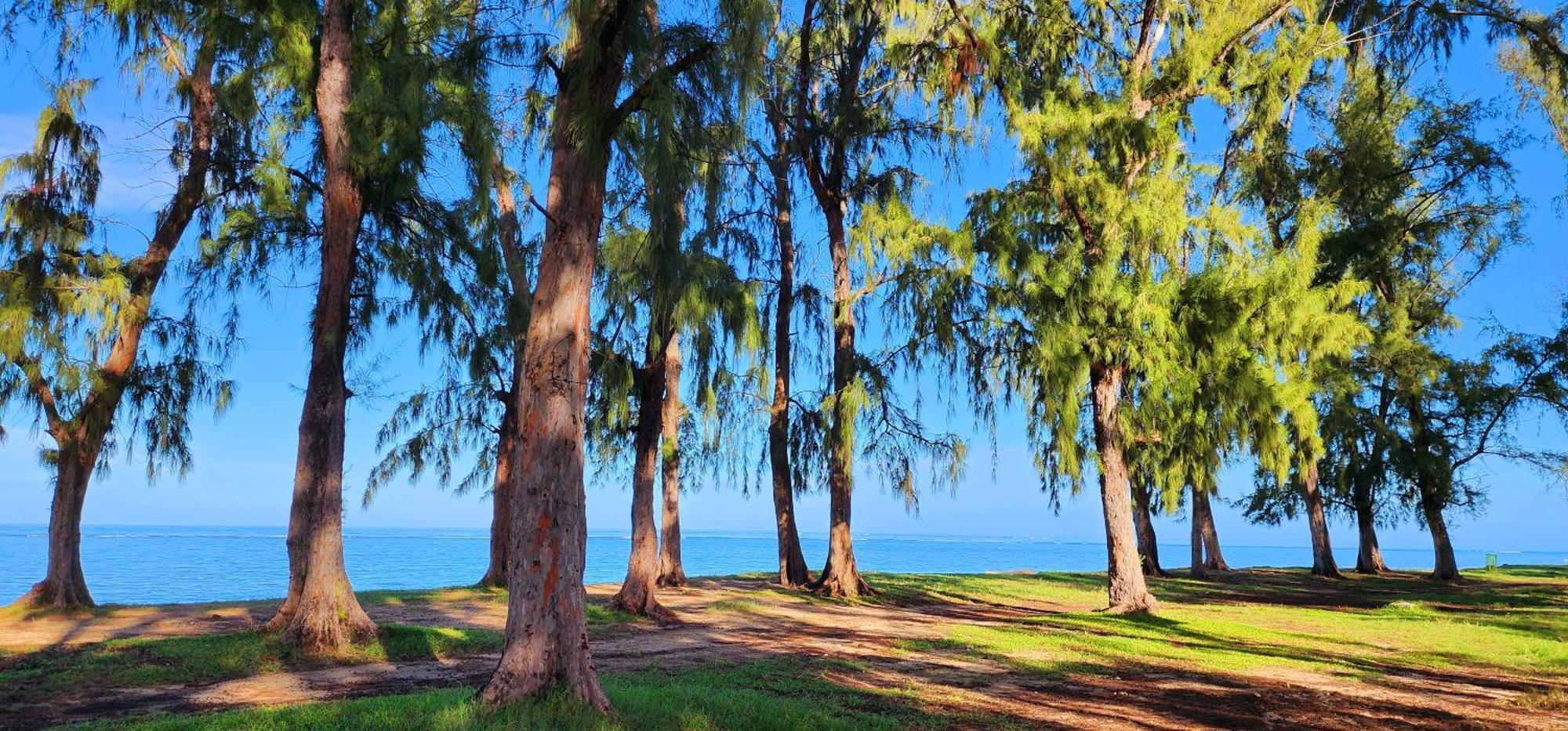 Phoenix Beach Apartments Sea View Flic-en-Flacq 外观 照片